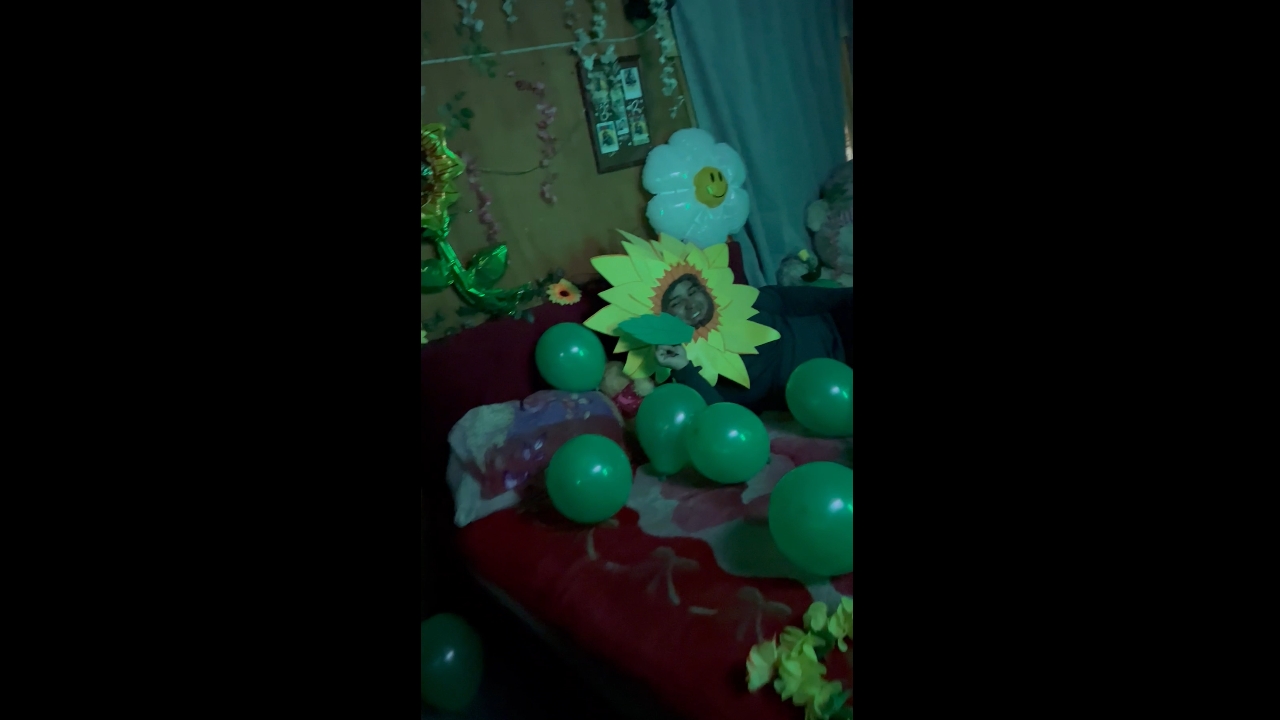Boyfriend surprises partner dressed as sunflower in Concepción, Chile