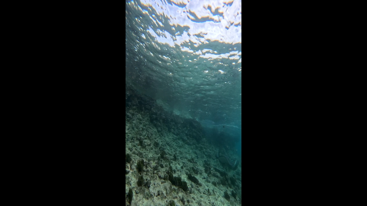 Swimmer startled by stingray encounter in San Andrés, Colombia