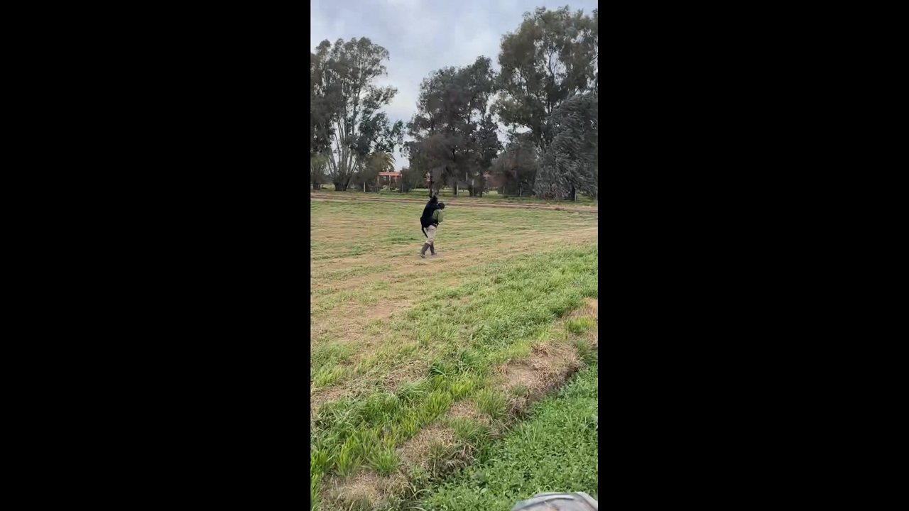Man hilariously carries calm calf on his back across field in Córdoba, Spain