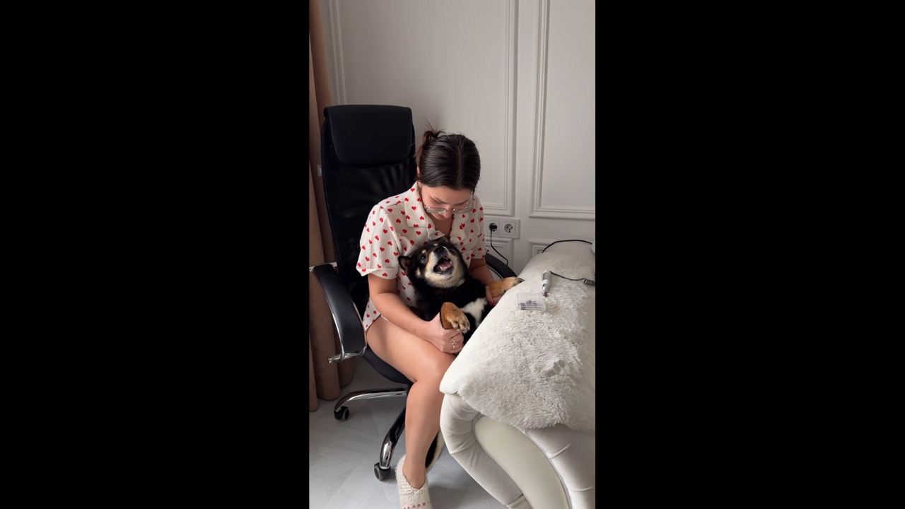 Crying dog calms down during claw trim in Homieĺ, Belarus