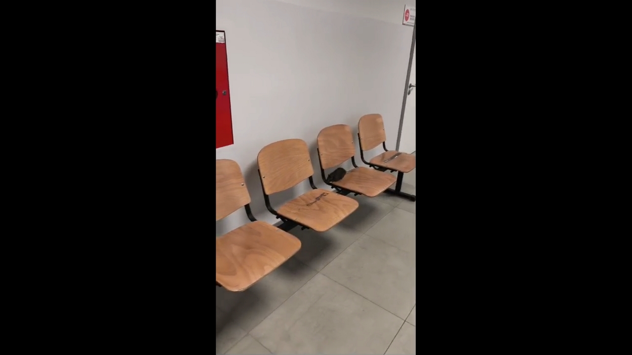 Mouse jumps and squeaks when approached in an ER waiting area in Zielona Góra, Poland