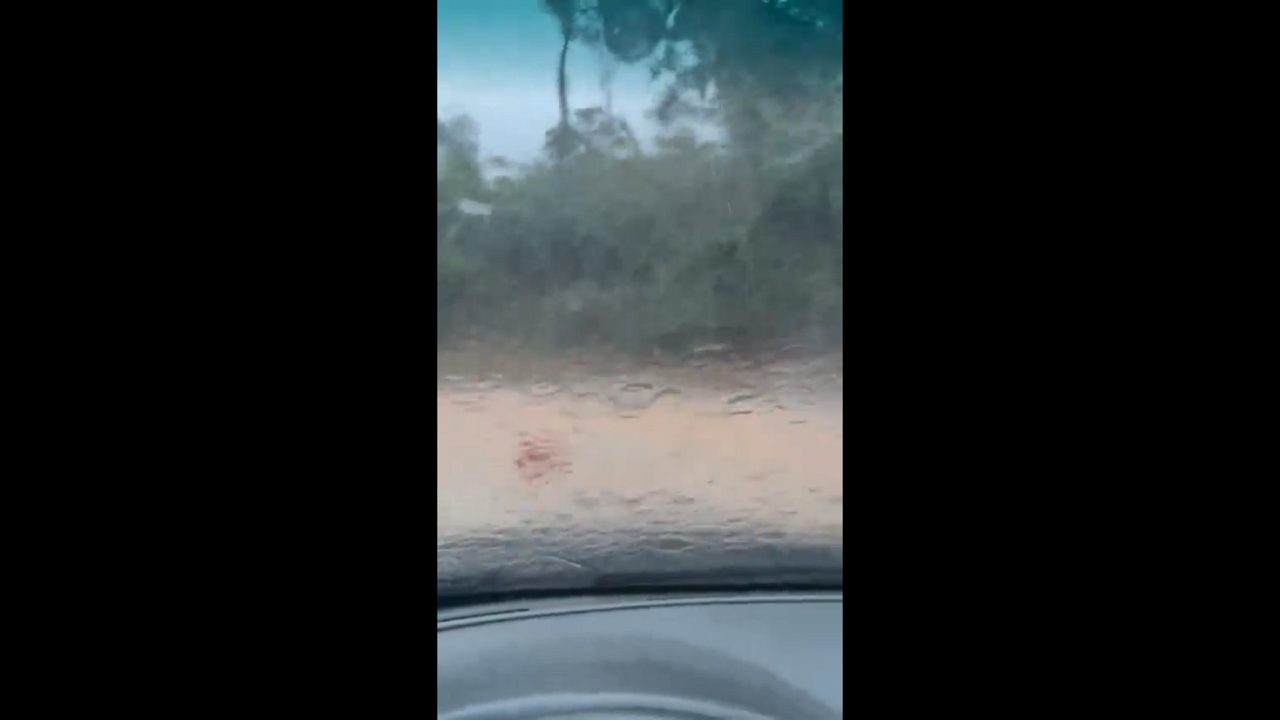 Heavy rain causes hazardous conditions in Serra de Petrópolis, Brazil