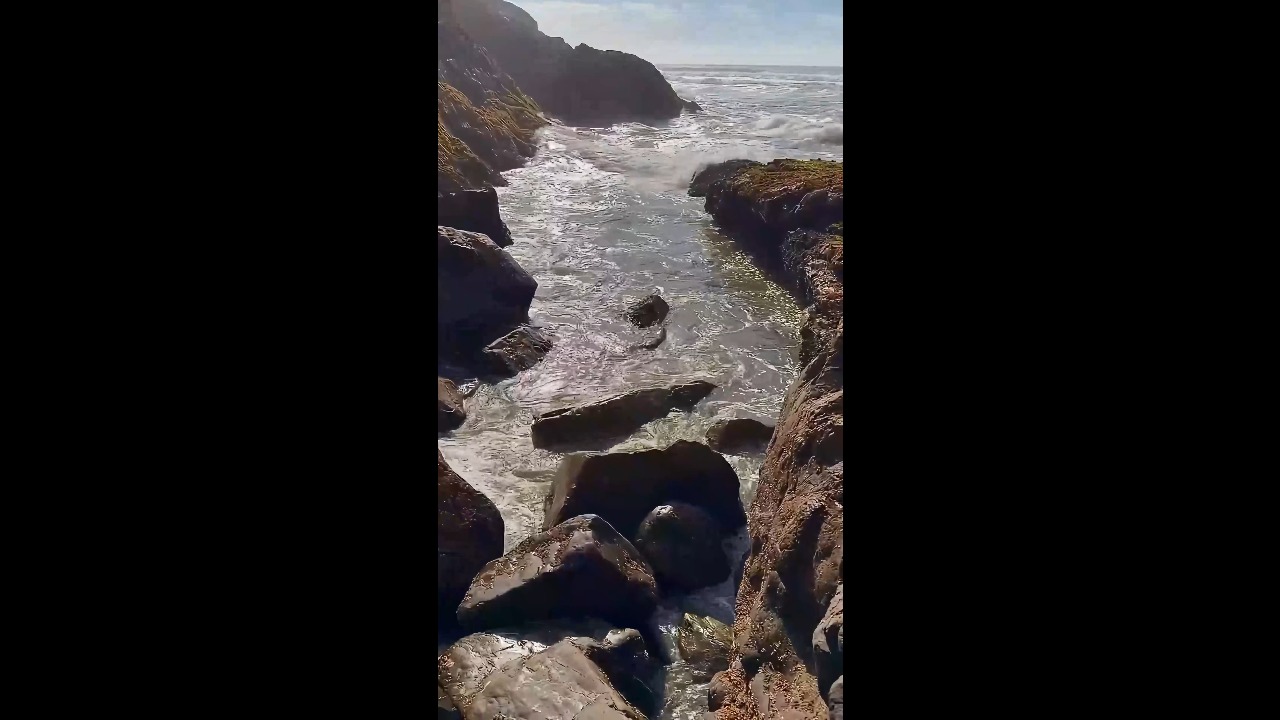 Black oystercatchers take flight as waves crash through rocky channel in California, USA