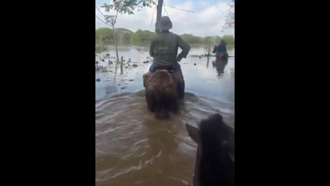 Cattle breeder surveys devastating floods on horseback in Montería, Colombia