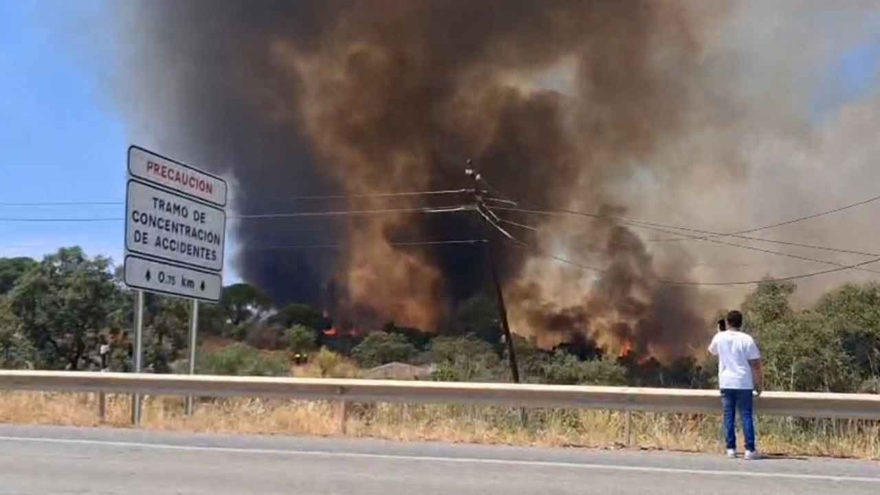Wildfire sends massive smoke plume across skies near Gibraleón, Spain