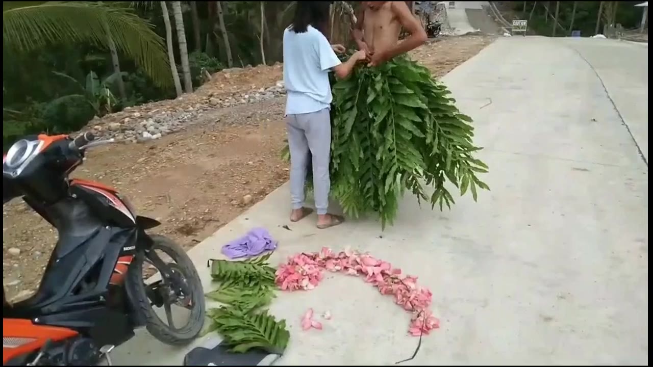 Nature's transcendent couture: a time-lapse transformation of man into floral muse