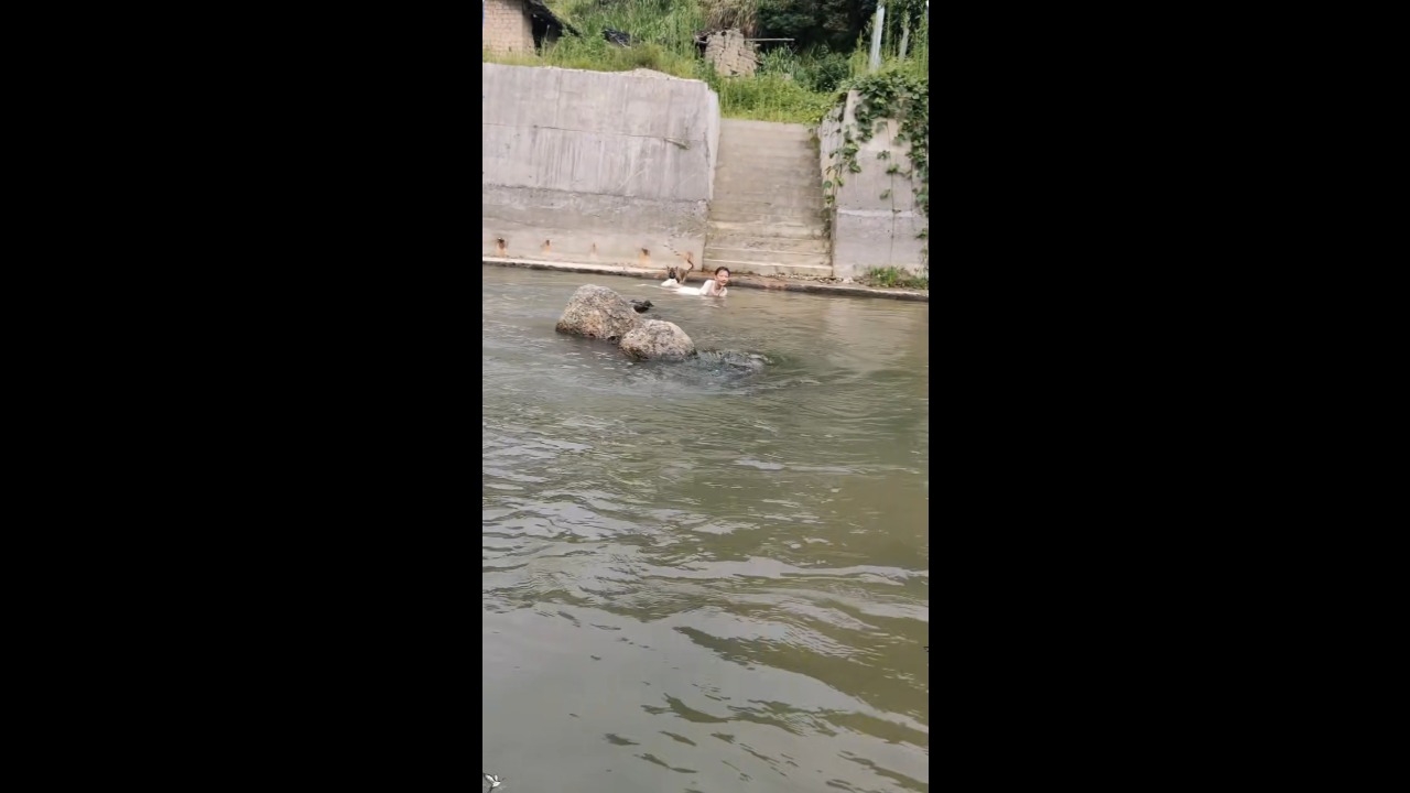 Dog pulls girl toward riverbank before leaving her confused and laughing in Hunan, China