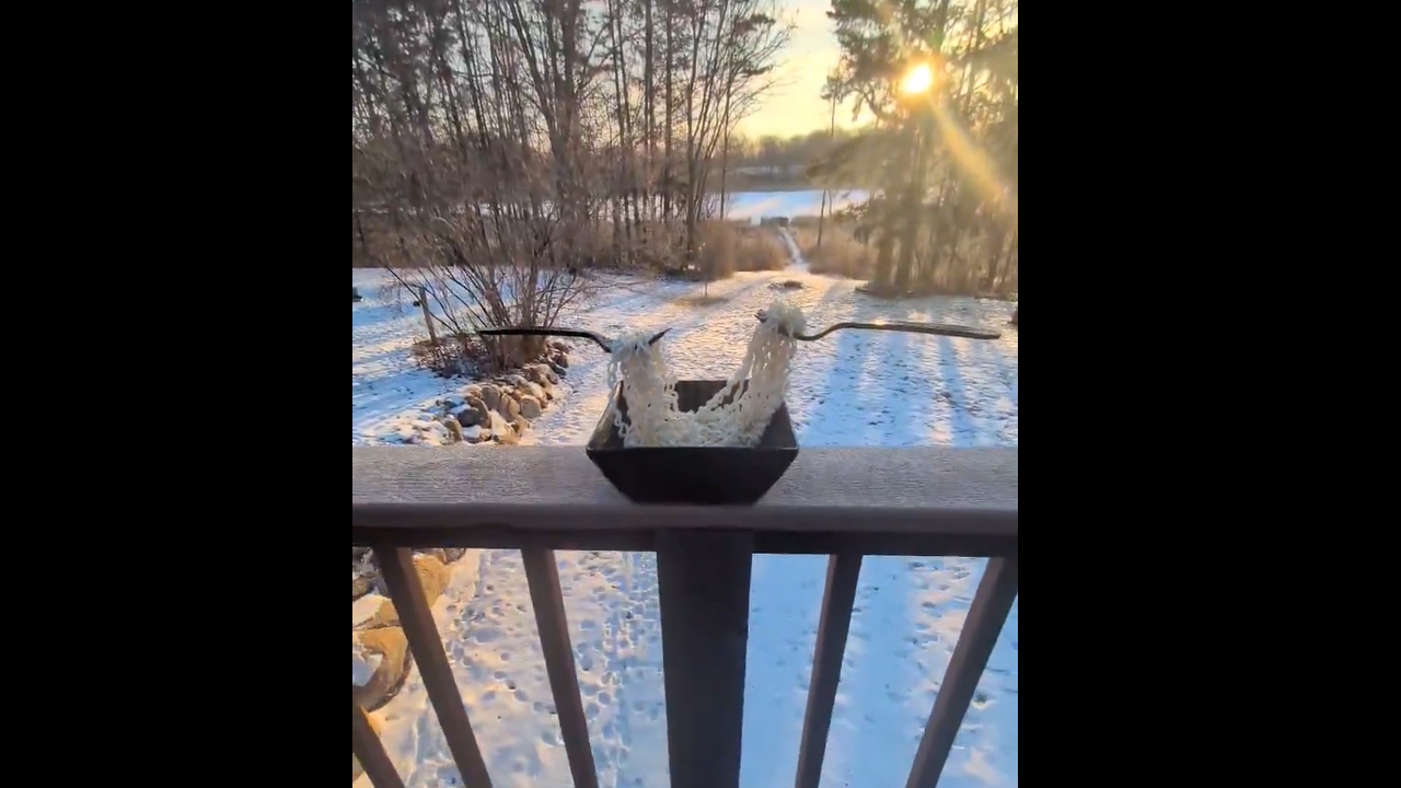 Noodles frozen mid-air in Montrose, Minnesota at -21.8°F