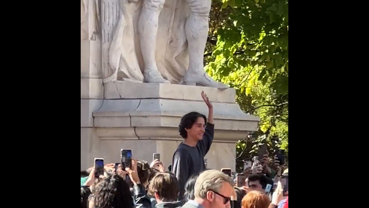 Timothée Chalamet Lookalike Waves Like Royalty in New York Park