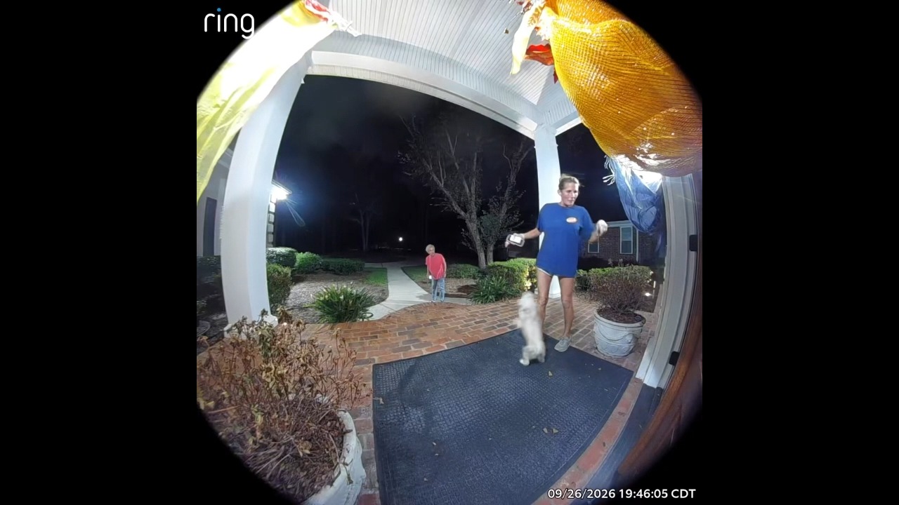 Bird flies out of a pumpkin wreath and hits a woman in Mobile, Alabama, USA