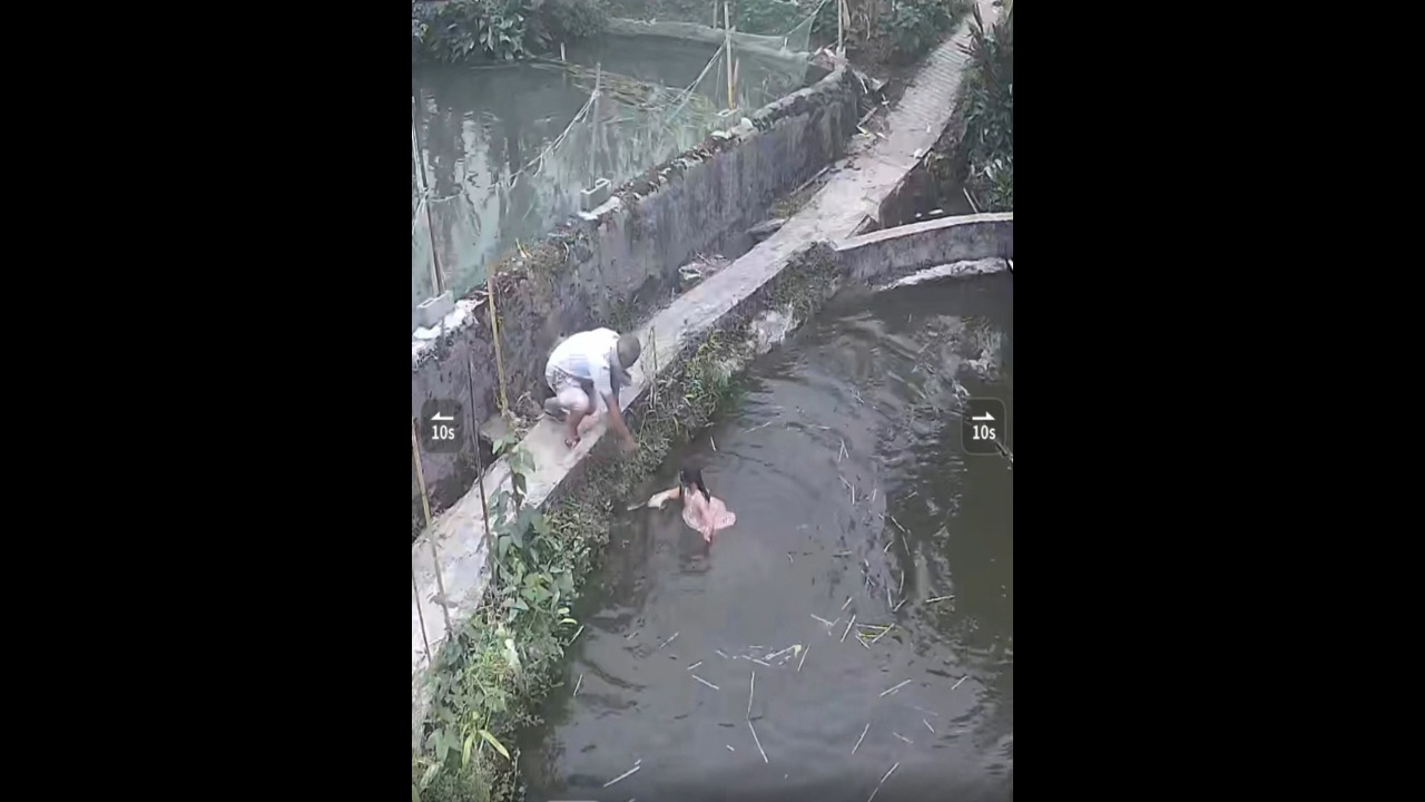 Young girl loses her footing and falls into fish pond while distracted in Sichuan, China