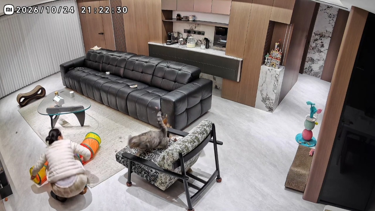 Cat accidentally knocks over glass-topped side table while jumping in Hubei, China