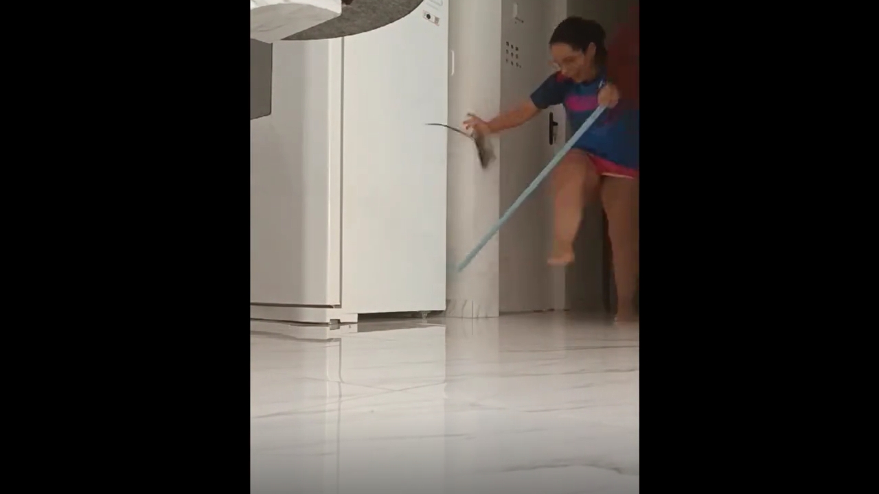 Video shows rat being kicked into the air in Cascavel, Paraná