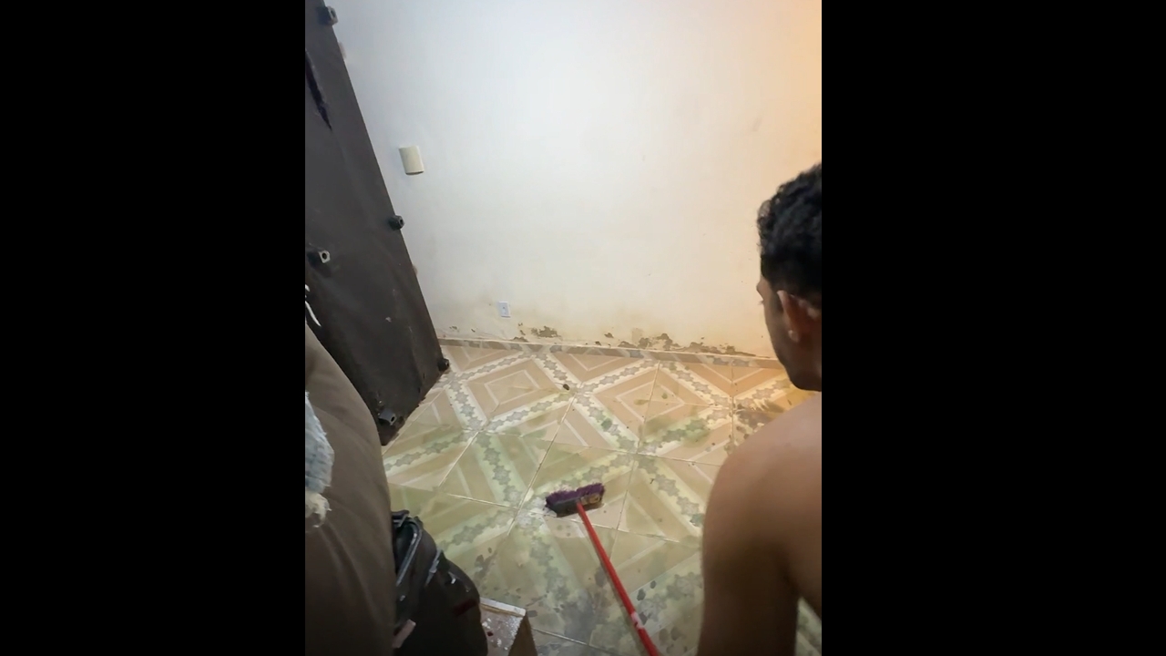 Mouse runs around house before being removed in Maceió, Brazil
