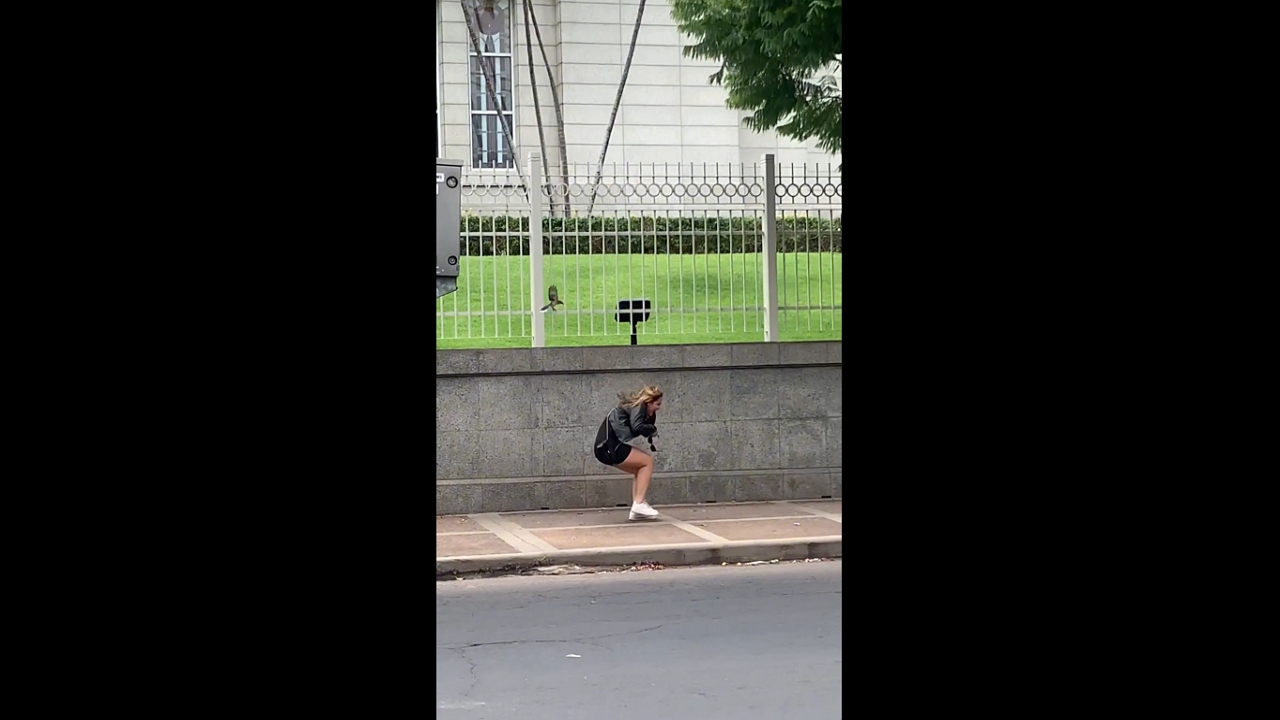 Territorial bird attacks pedestrians on Asunción's Avenida España