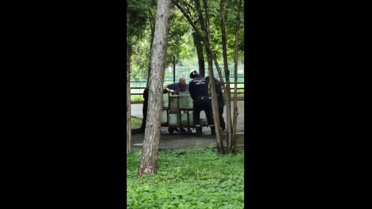 Rostov-on-Don zoo evacuates animals as fire engulfs building