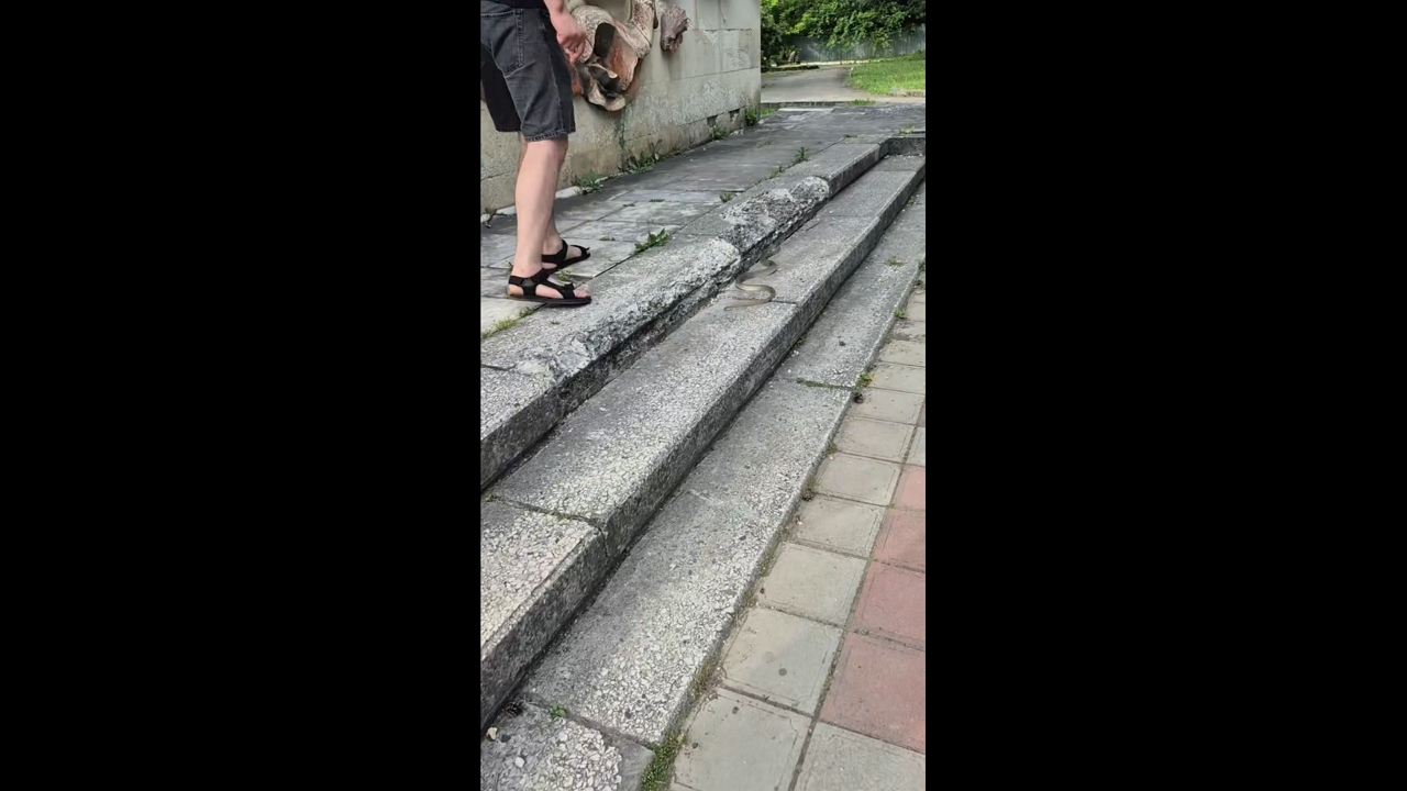 Snake crawls on stair step and startles man in Ağstafa, Azerbaijan