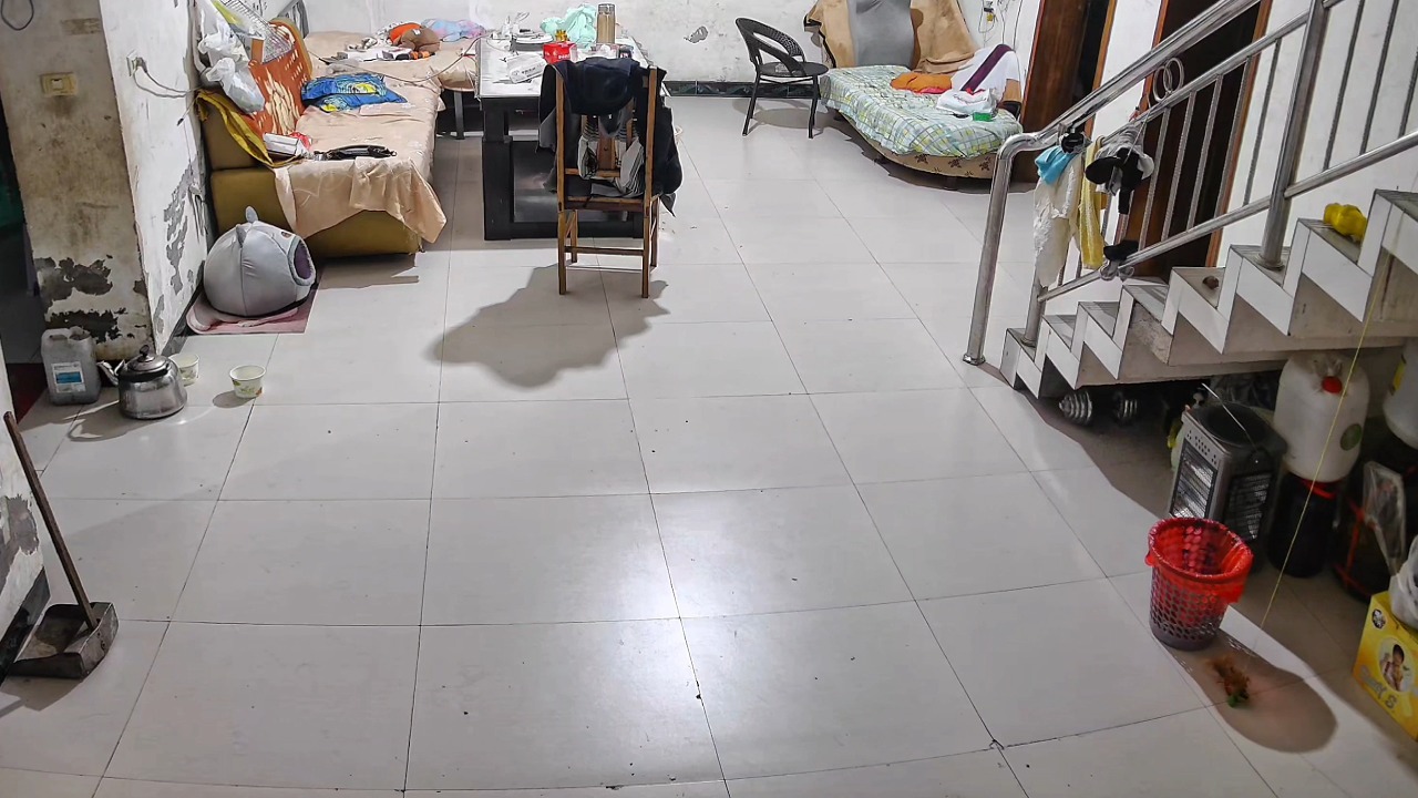 Cat chases mouse up the stairs before catching it inside a house in Guangdong, China