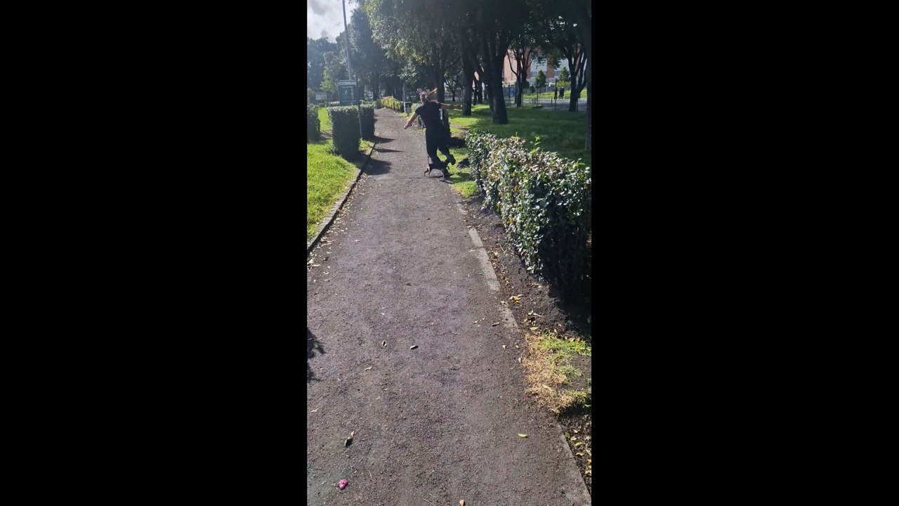 Jogger trips over playful dogs in Bogotá, Colombia