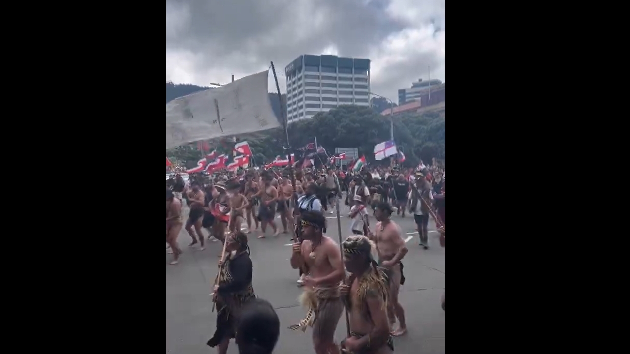 Protest against controversial bill ends with Hīkoi in Wellington, New Zealand