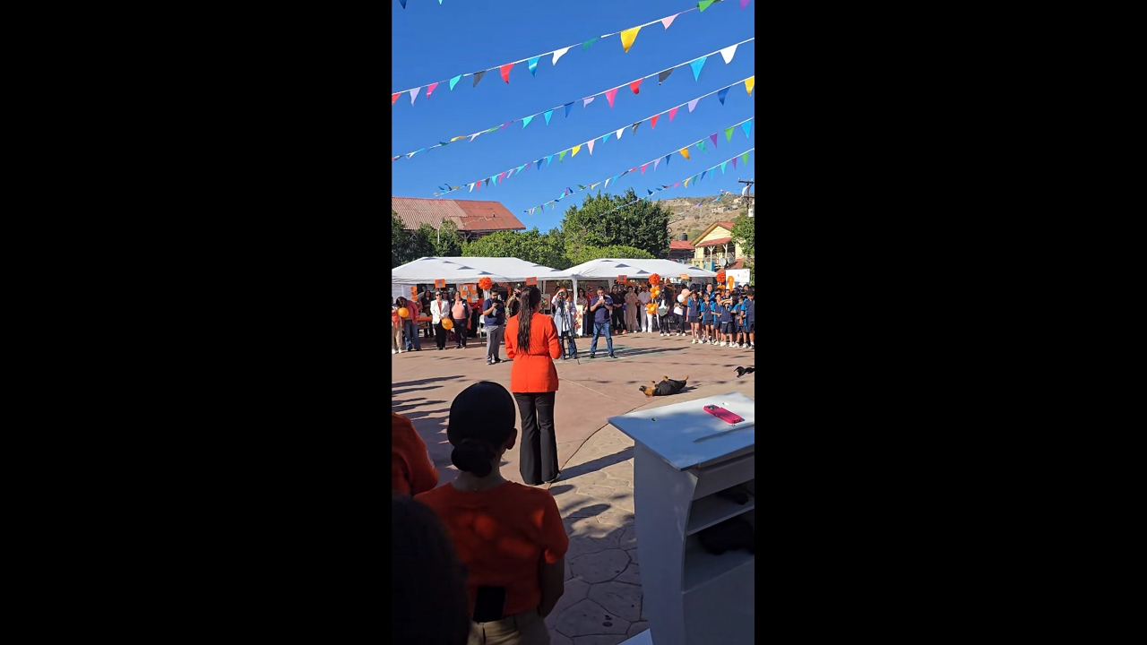 Dog steals the spotlight at outdoor event in Santa Rosalía, México