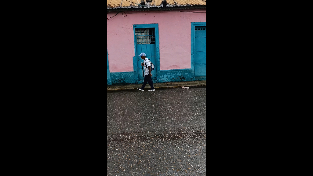 Man walks pet pig on a leash in Caicara de Maturín, Venezuela