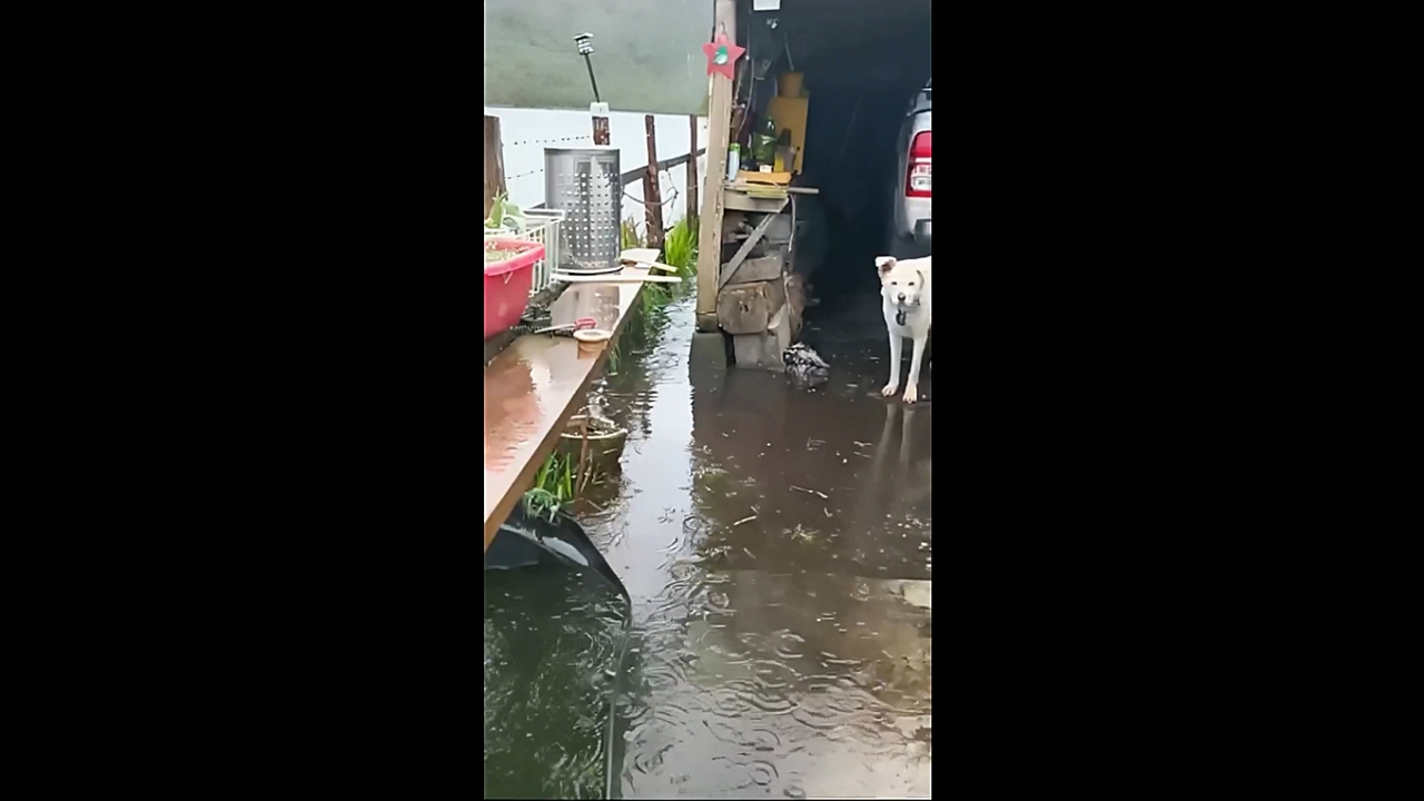 Chiloé floods: resilience amidst the year's peak sea rise