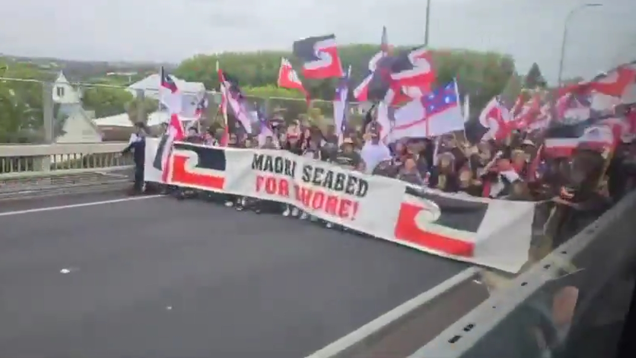 Thousands cross Auckland Harbour Bridge in protest on day three of Hīkoi