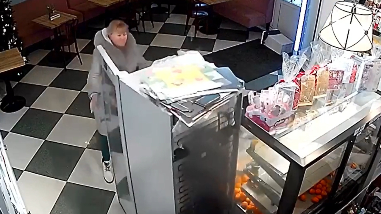 Woman causes destruction in Moscow region café and children's center