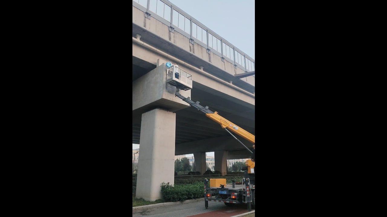 Workers rescue kitten stranded on a high overpass ledge in Shandong, China