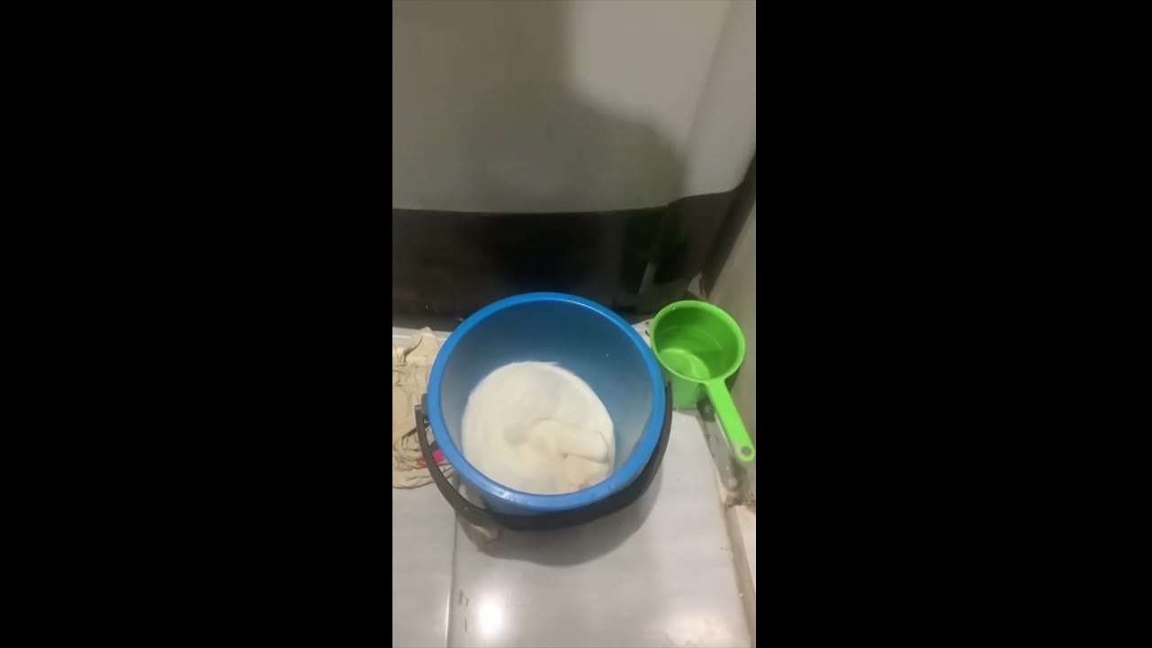 Unexpected discovery: mischievous cat hides in bucket, captured on video!