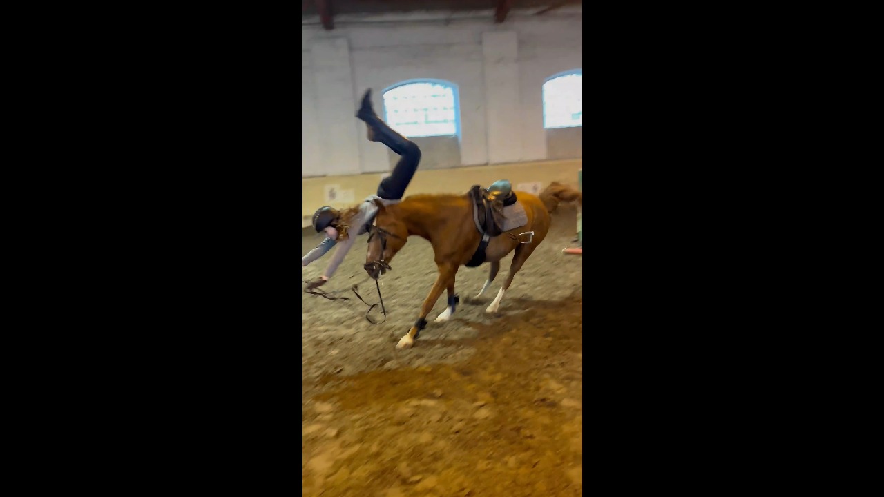 Horse clips jump pole, throwing rider off during training session in Kiskunhalas, Hungary