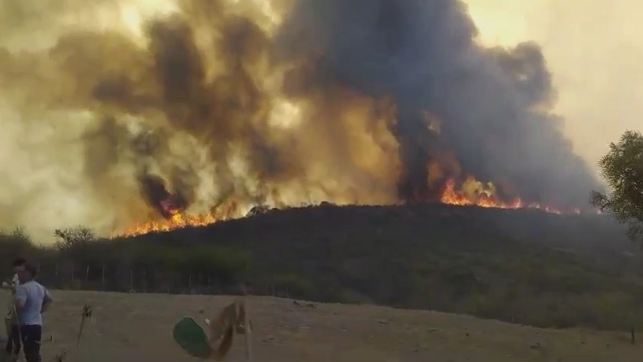 Wildfires ravage Córdoba as fierce winds challenge firefighters
