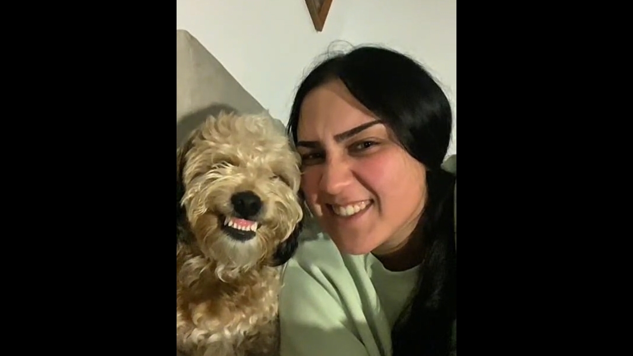 Dog imitates owner smiling for the camera in Villa del Río, Spain