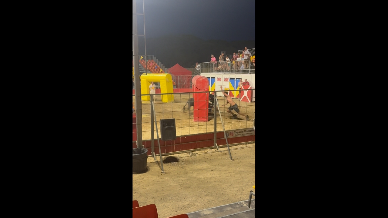 Intense moment as bull chases people inside an arena in Le Barcarès, France