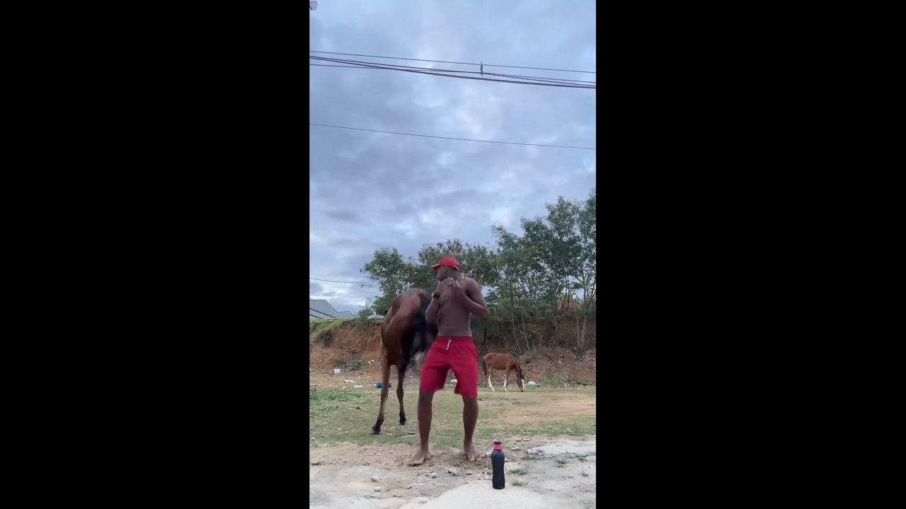 Man startled by horse while dancing in Serra, Espírito Santo, Brazil
