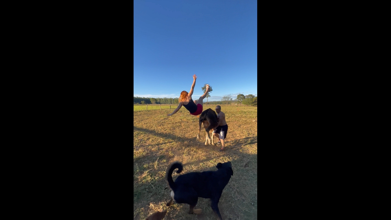Woman falls as cow runs away after playful dog bite in Goiás, Brazil