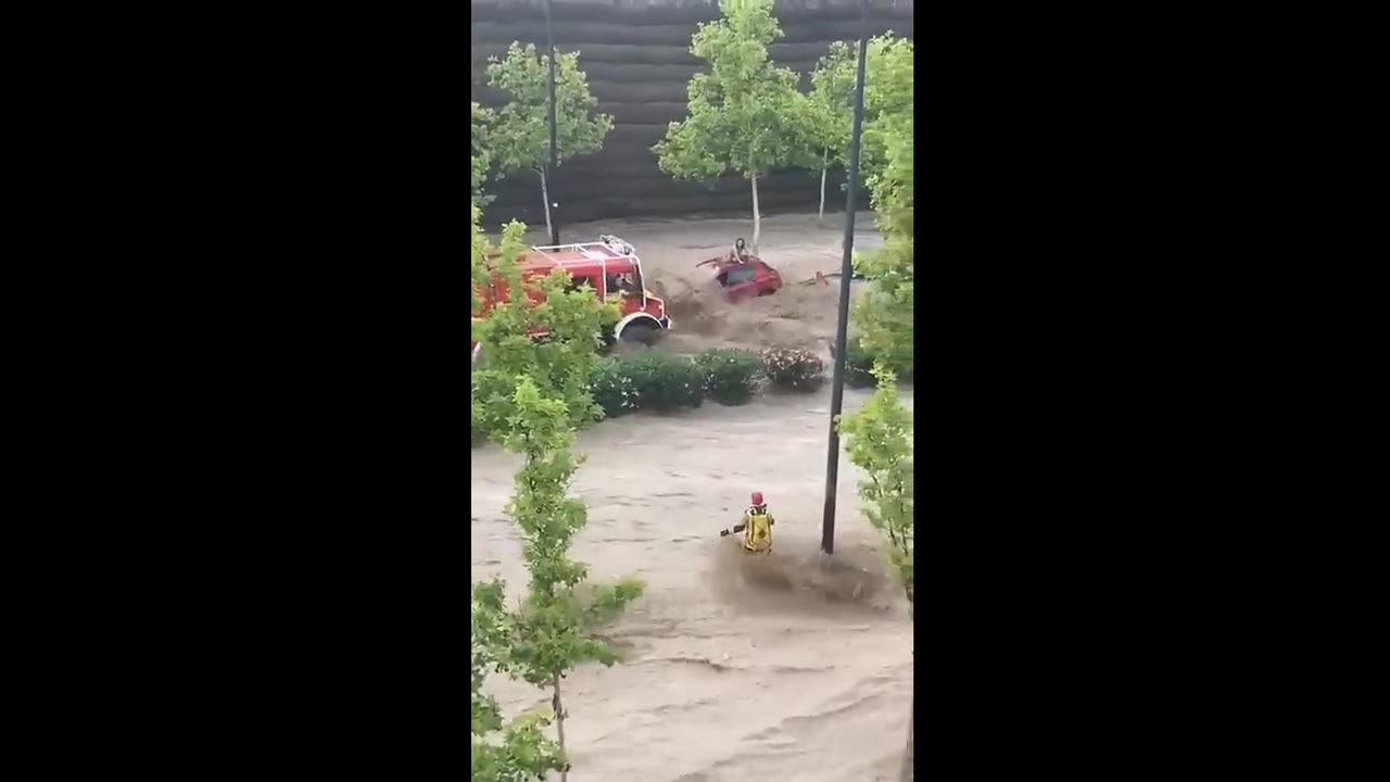 Miraculous rescue: woman clings to tree atop car in dramatic Zaragoza flash floods