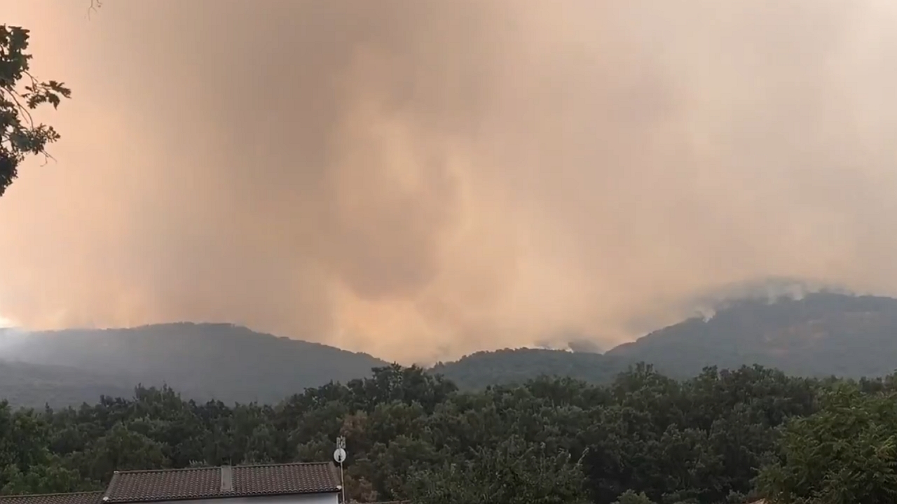Jarilla wildfire blankets sky in massive smoke in Hervás, Extremadura