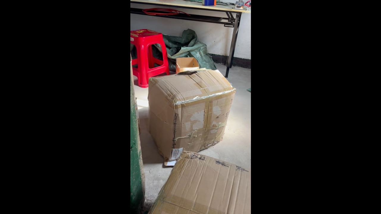 Playful puppy hilariously tips over a box while trying to escape in Guangdong, China