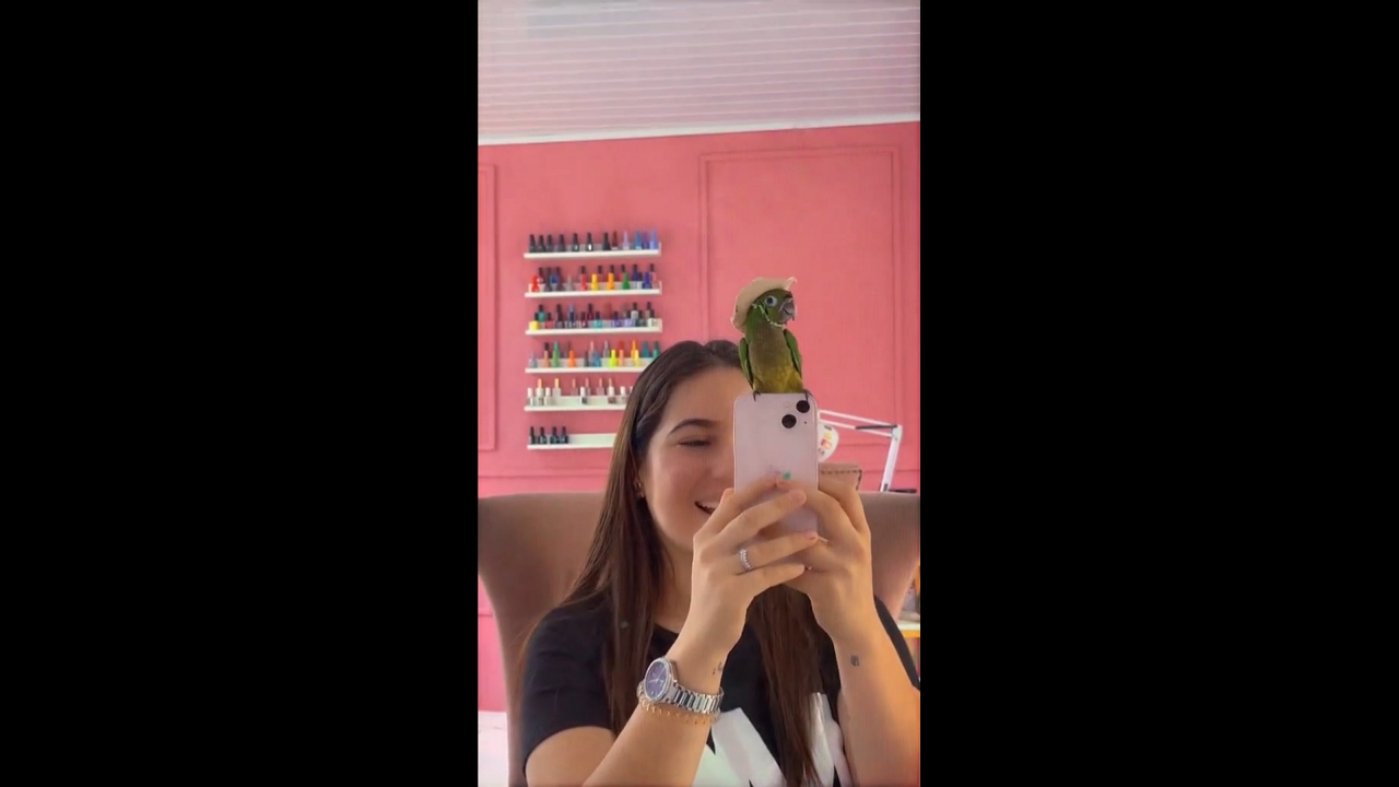 Adorable parrot watches itself in the mirror while filming with owner in Petén, Guatemala