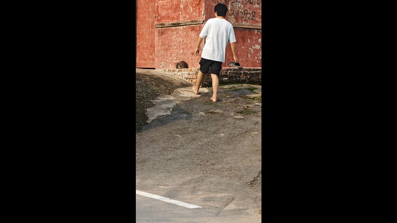 Boy startles a resting cat, sending it jumping into the air in Chongqing, China