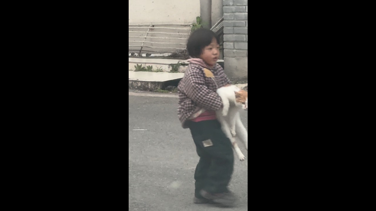 Boy falls while walking with a cat on his shoulders in Chongqing, China