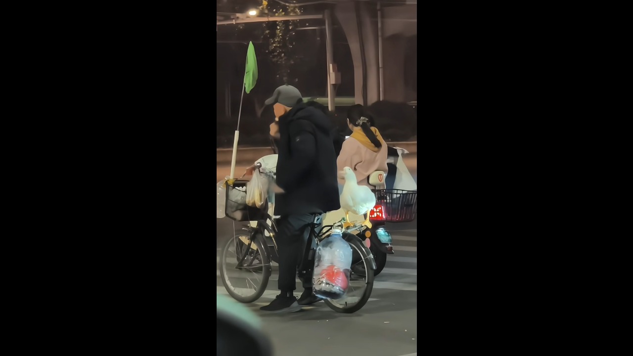 Man adorably shares cucumber with his duck while taking a break in Henan, China