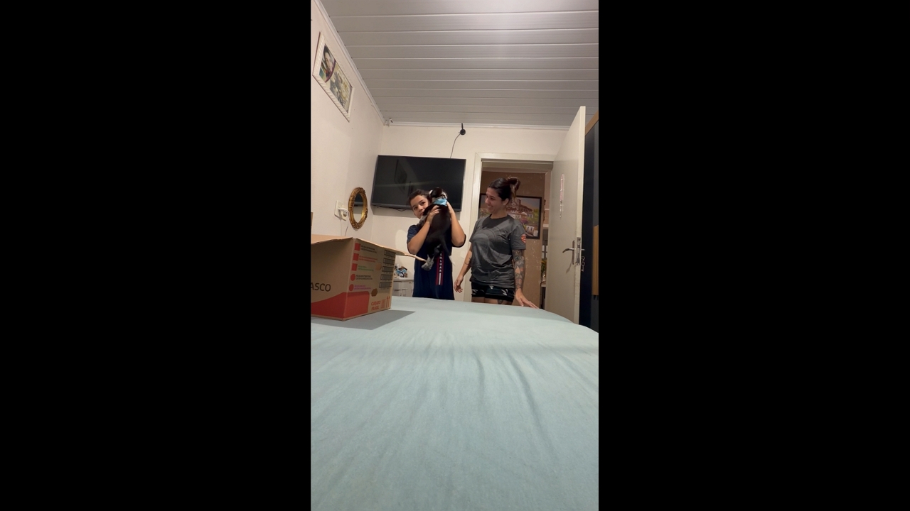 Boy becomes emotional after surprise puppy gift in São José, Brazil