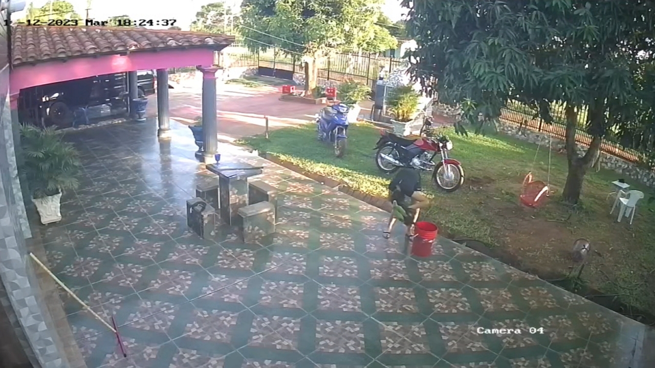 Bird clings to woman's head after falling from tree in Carapeguá, Paraguay