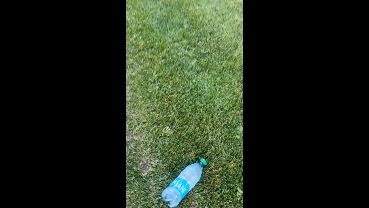 Woman opens bottle to help a crow drink water in Idaho Falls, USA