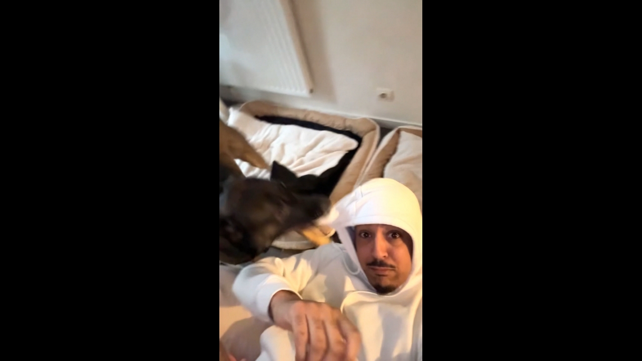 Dog won’t let go of jacket hood in Créteil, France