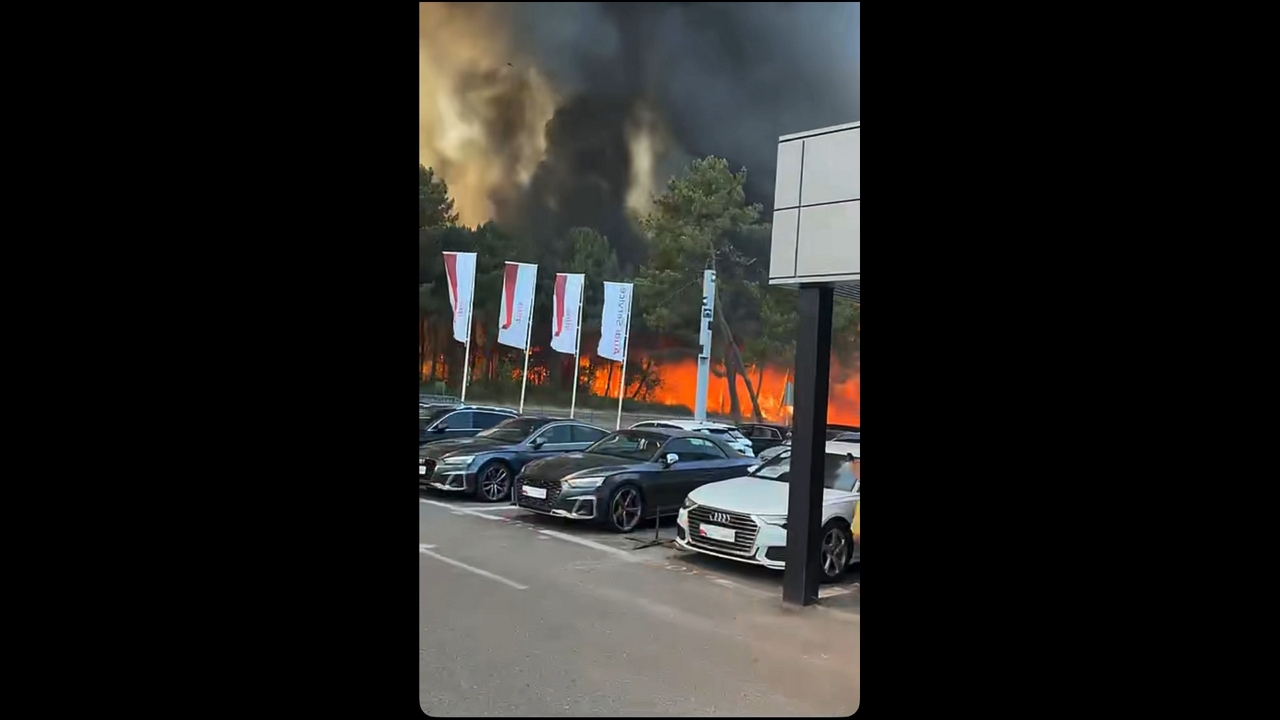 Wildfire spreads through pine forest in Mérignac, Bordeaux, France
