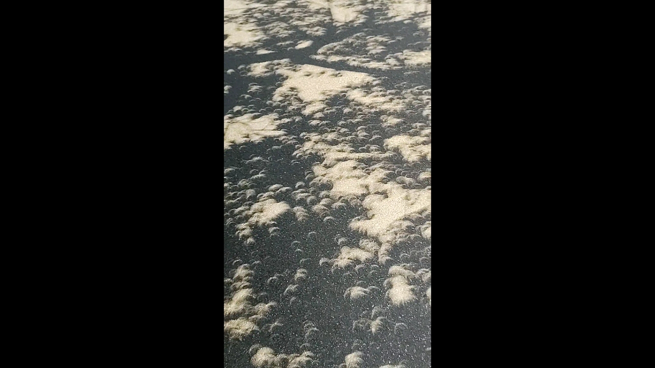 Enchanting solar eclipse shadows in Cancún, Quintana Roo
